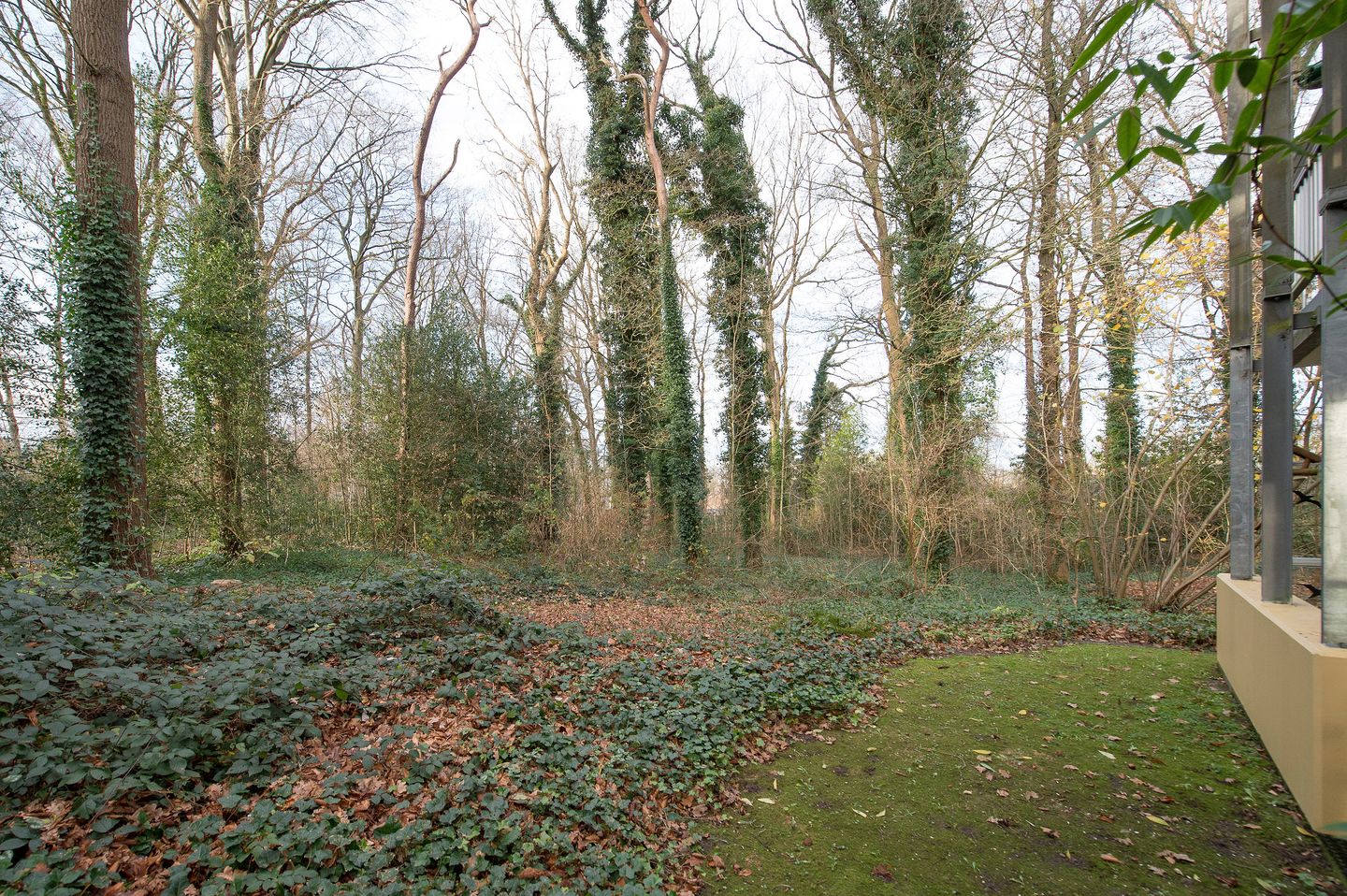 Foto 4 van Het Hof van Rolde 18