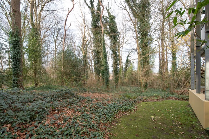 Foto 4 van Het Hof van Rolde 18