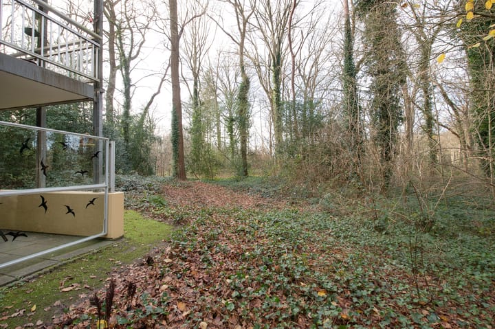 Foto 35 van Het Hof van Rolde 18