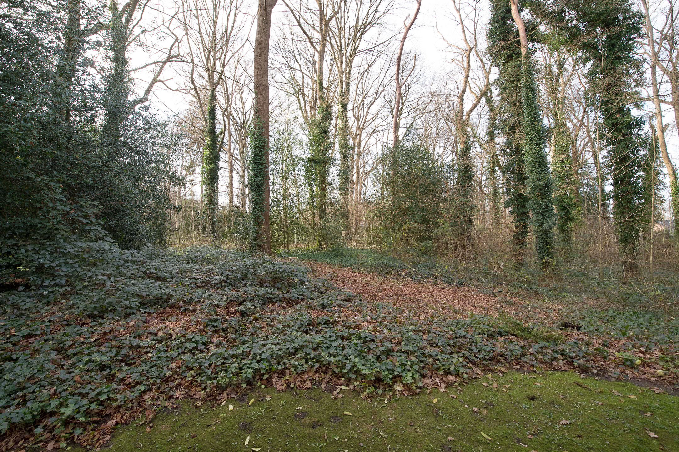 Foto 36 van Het Hof van Rolde 18