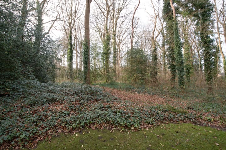 Foto 36 van Het Hof van Rolde 18