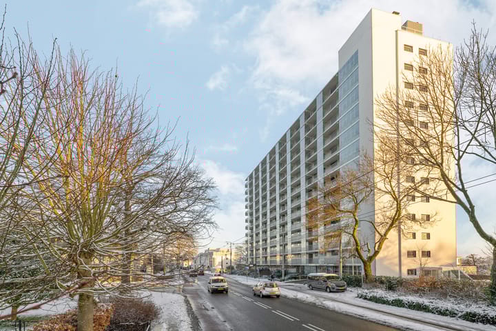 Foto 3 van Utrechtseweg 145-61