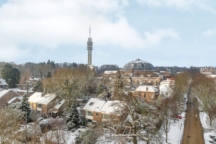 Foto 35 van Utrechtseweg 145-61