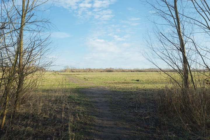 Foto 38 van Thurleede 16