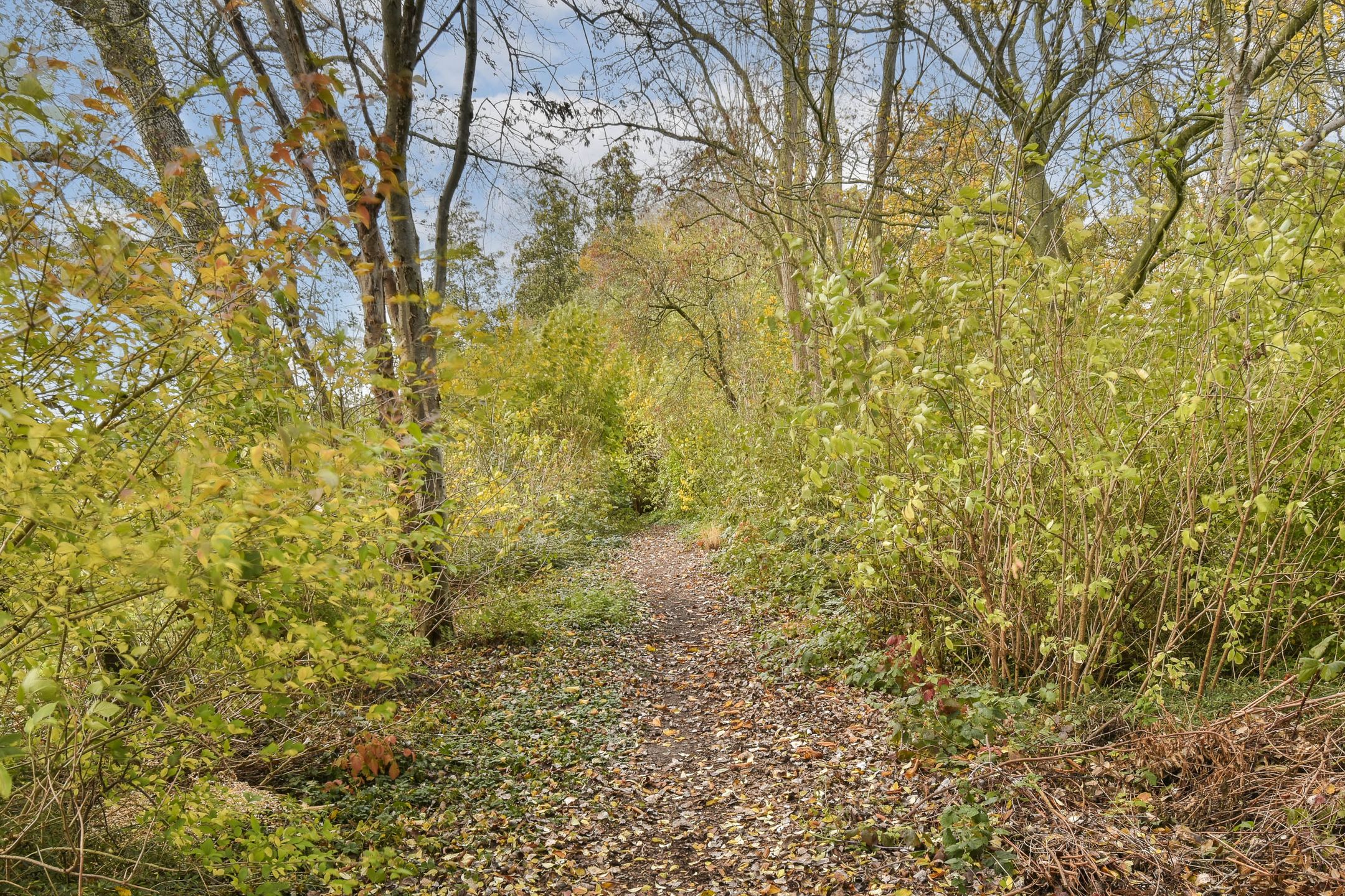 Foto 30 van De Heerenhof 8