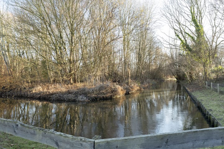 Foto 49 van Dalenoord 76