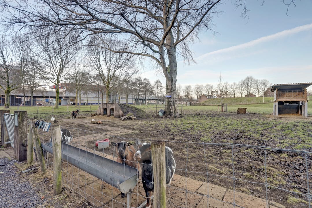 Foto 26 van Schout Gijszpad 12