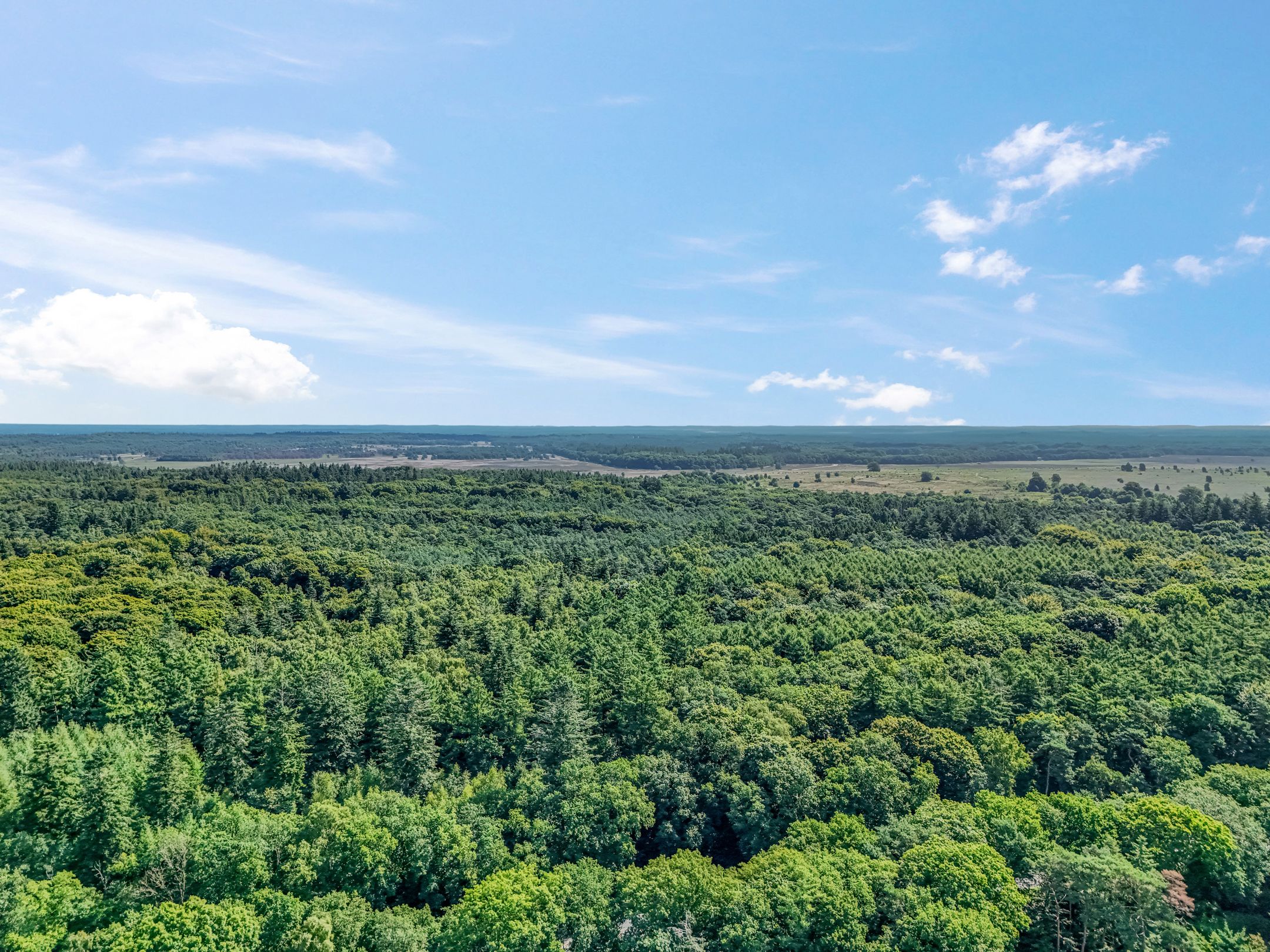 Foto 39 van Oude Arnhemseweg 42