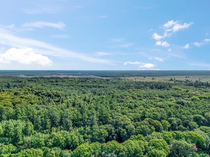 Foto 39 van Oude Arnhemseweg 42