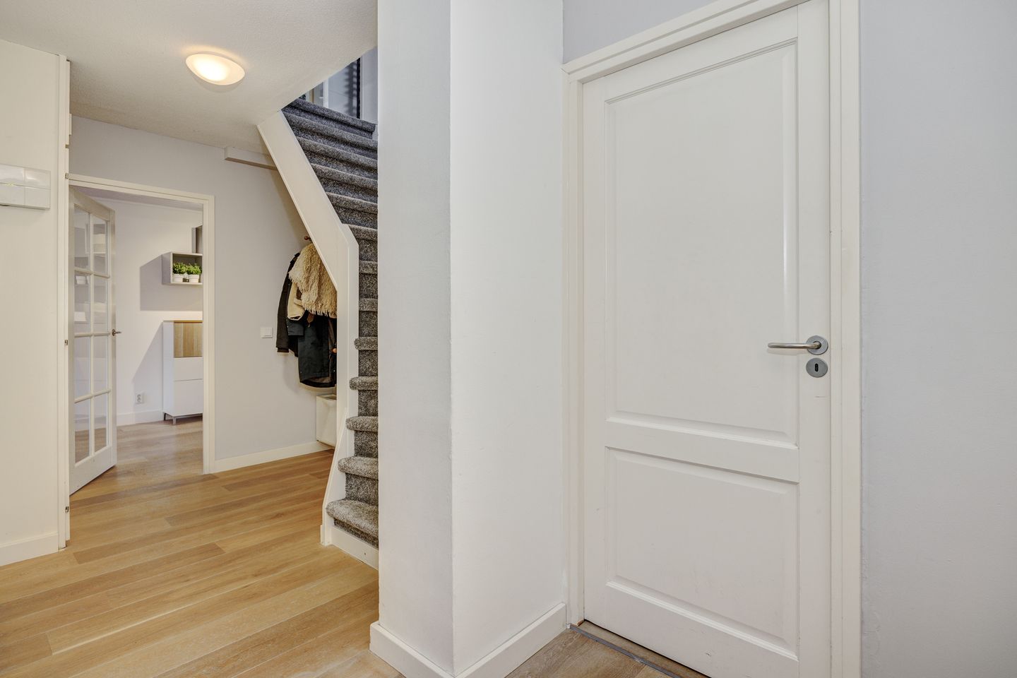 Foto 4 van Het Vlaggeschip 61