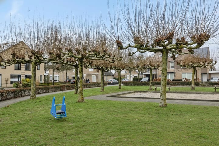 Foto 33 van Het Vlaggeschip 61