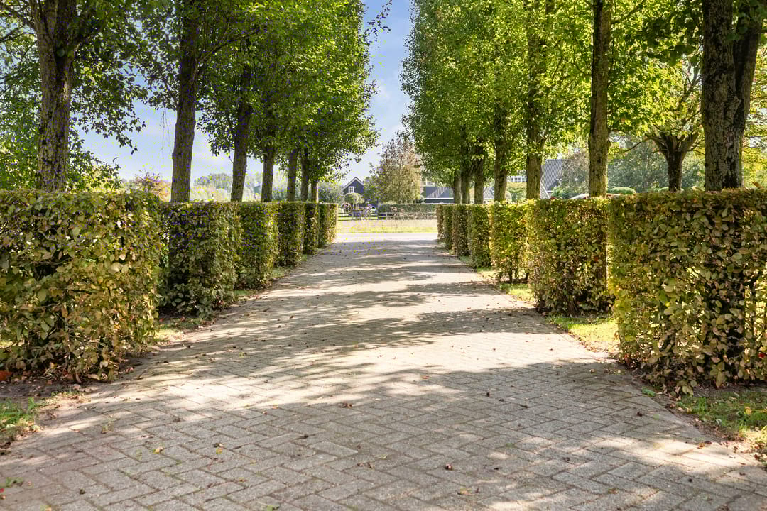 Photo 7 of Kijfhoek 32