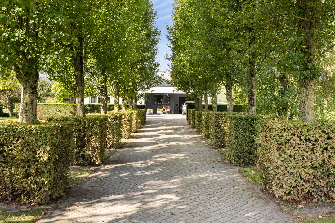 Photo 8 of Kijfhoek 32