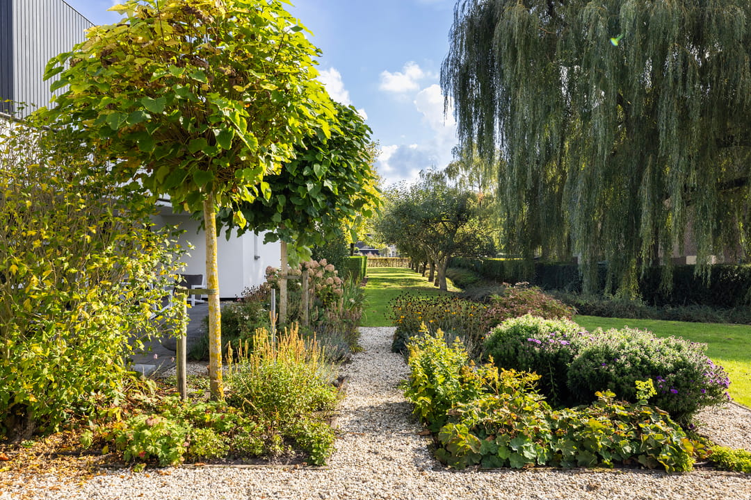 Photo 52 of Kijfhoek 32