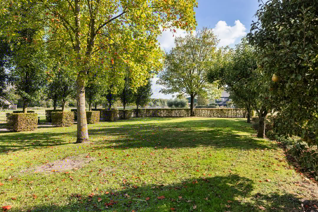 Photo 53 of Kijfhoek 32