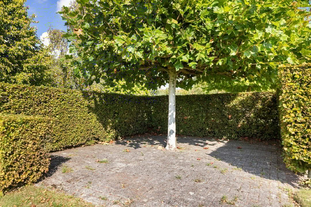 Photo 56 of Kijfhoek 32