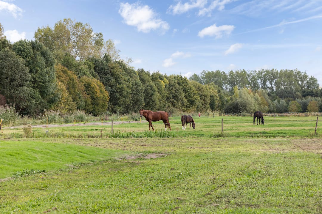 Photo 62 of Kijfhoek 32