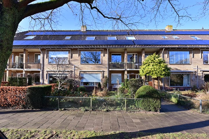 Foto 1 van Moerbeilaan 16