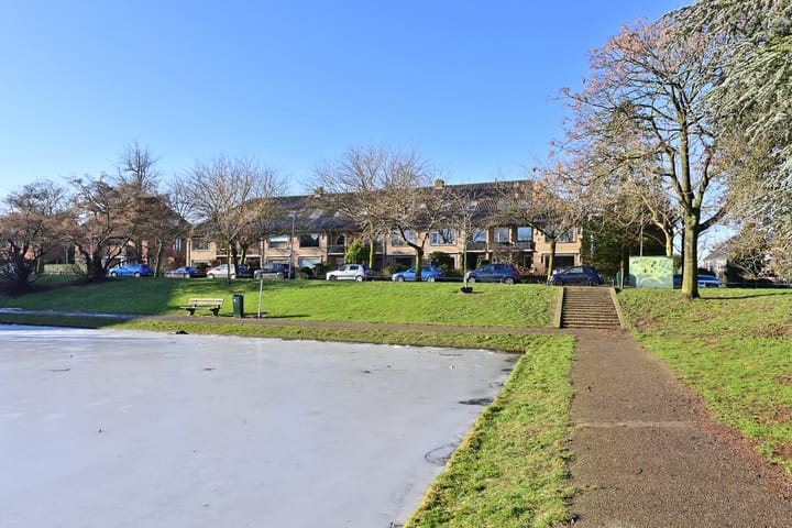 Foto 15 van Moerbeilaan 16