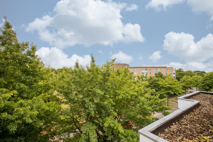 Foto 8 van Deken van Oppensingel 179