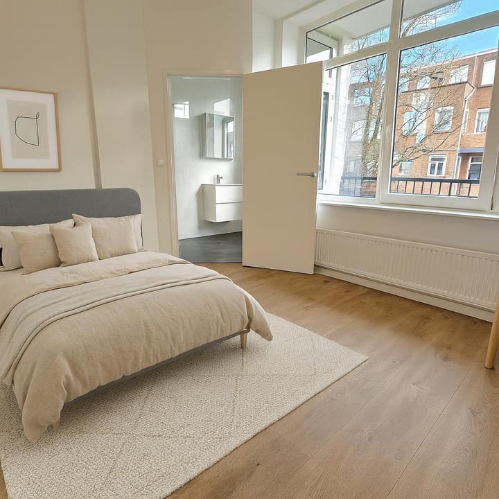 Foto 9 van Millinxstraat 24-A02