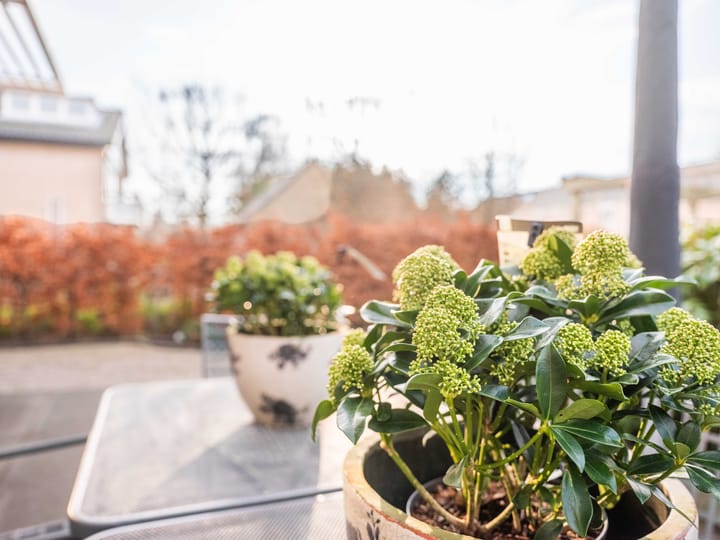 Foto 48 van David Kouwenaarweg 28