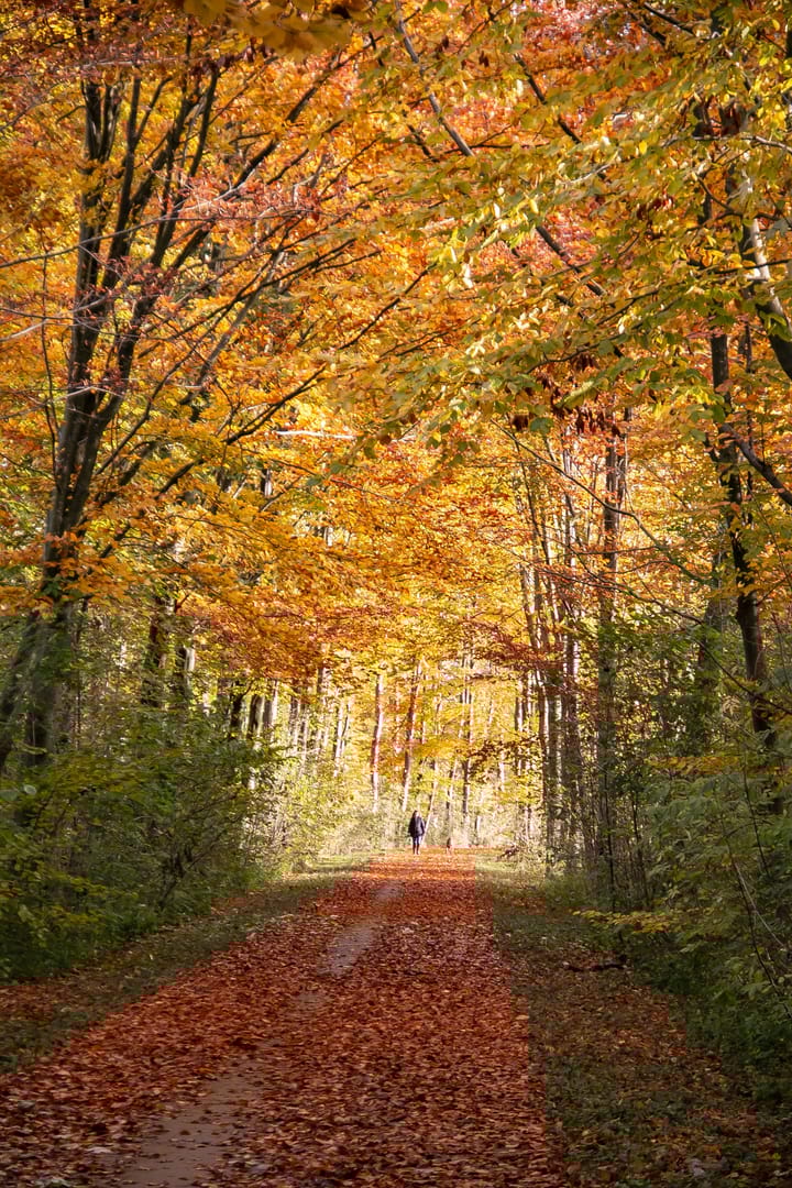 Foto 32 van Sieradenweg 77