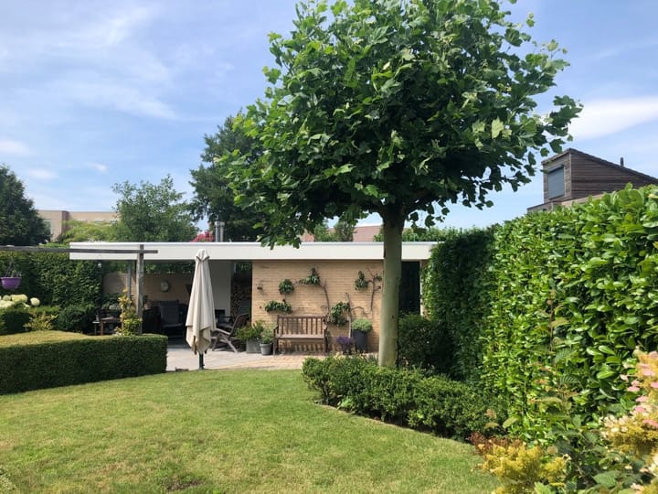 Photo 32 of Stellingmolen 22