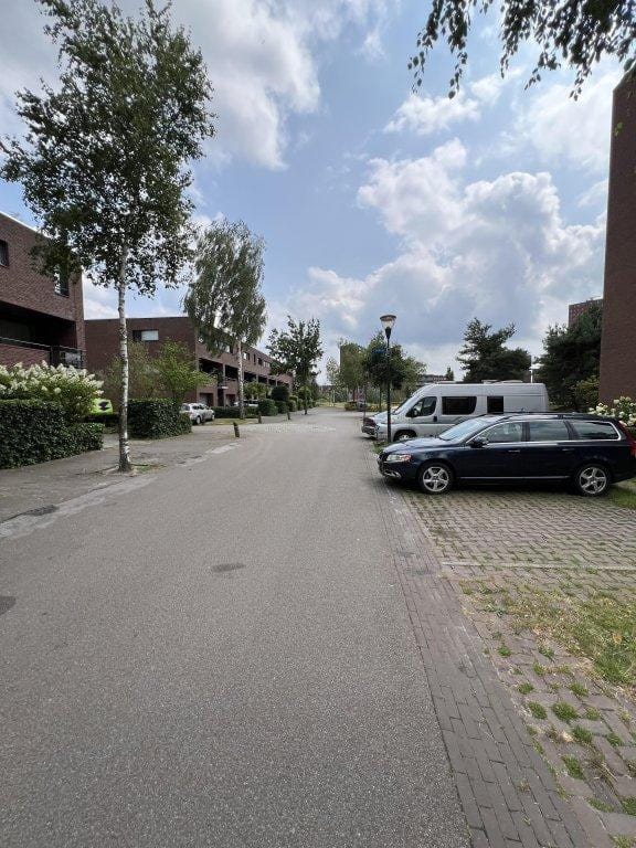 Foto 50 van Zandbloem 11