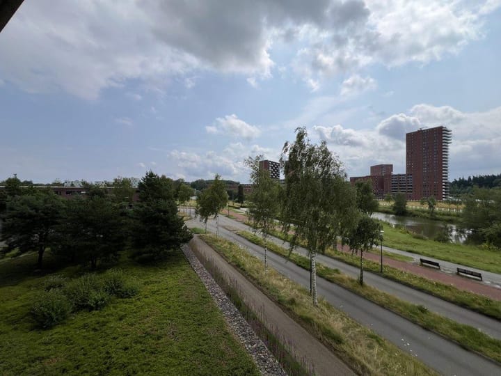 Foto 41 van Zandbloem 11