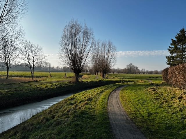 Photo 47 of Parksingel 44