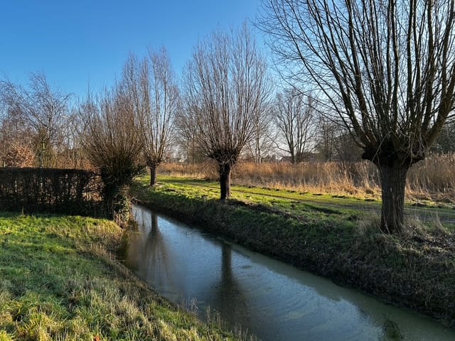 Photo 48 of Parksingel 44