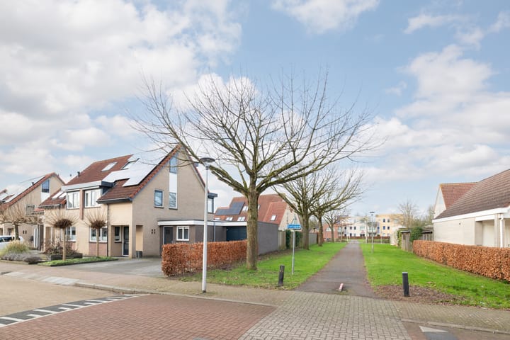 Foto 5 van Grutto 14