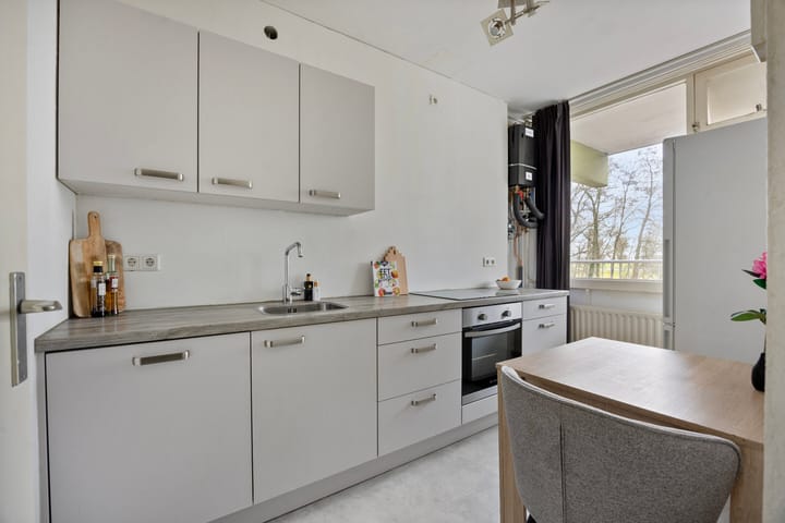 Foto 3 van Westervenne 308-A