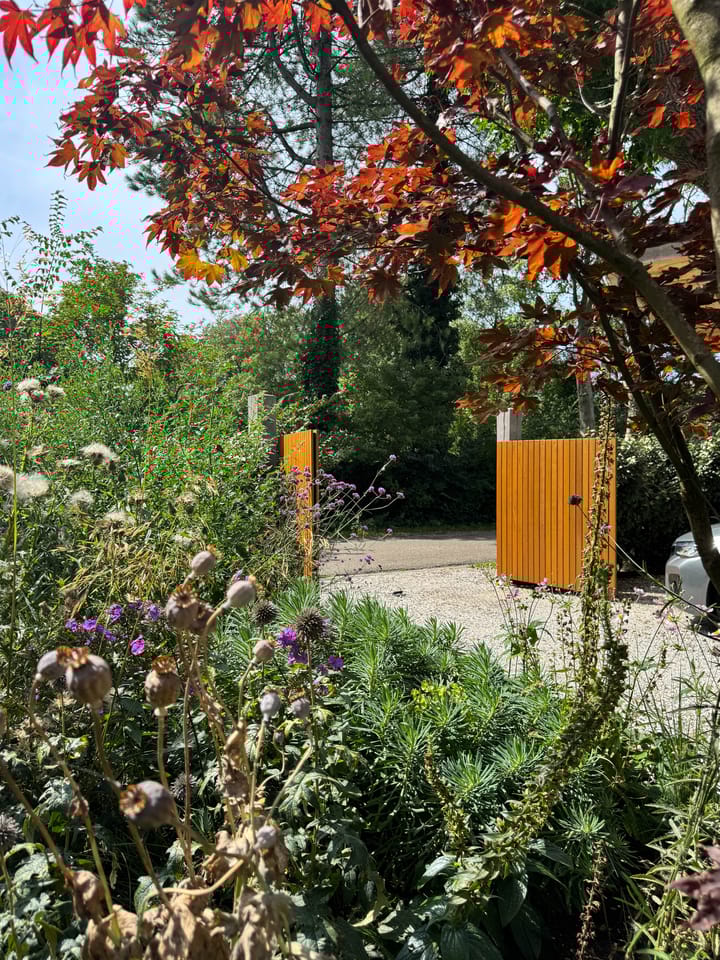 Foto 35 van Westerweg 50