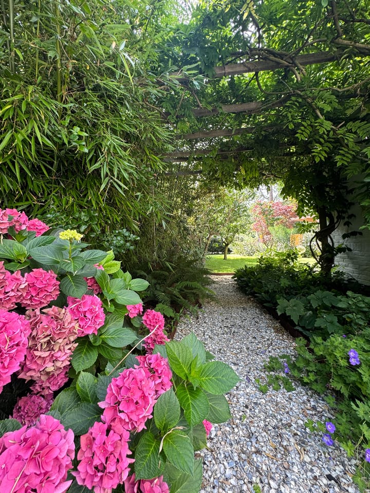 Foto 37 van Westerweg 50