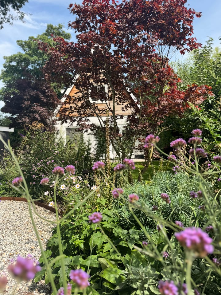 Foto 38 van Westerweg 50