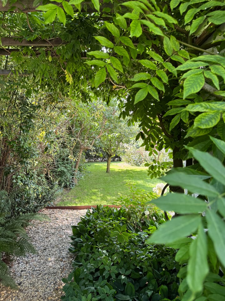 Foto 40 van Westerweg 50