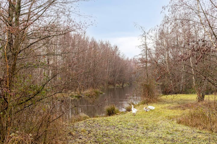 Foto 48 van Ommenstraat 54