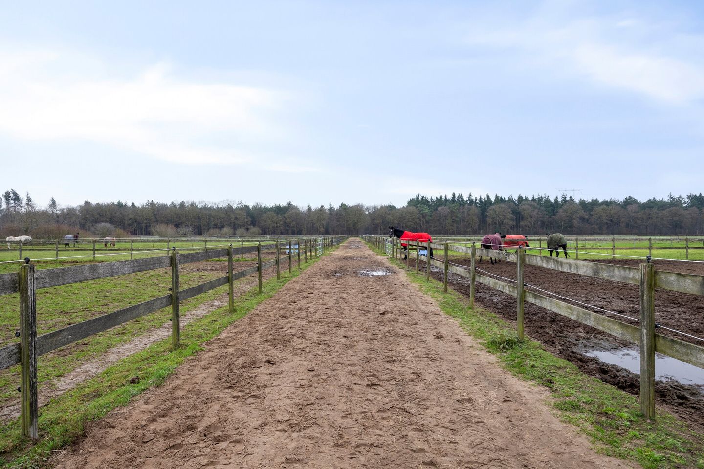 Bekijk foto 3 van Sonniuswijk 37