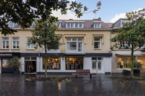 Louis van der Maesenstraat thumbnail