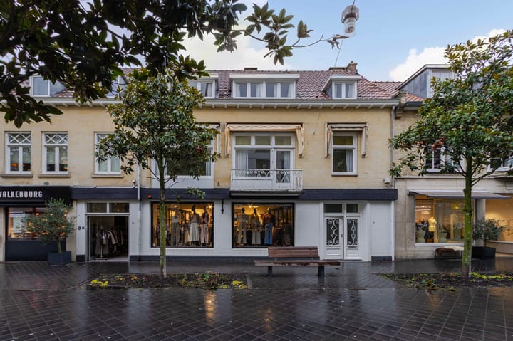 Louis van der Maesenstraat 3