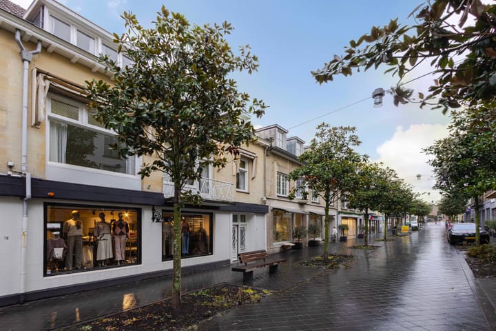 Foto 3 van Louis van der Maesenstraat 3