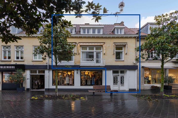 Foto 2 van Louis van der Maesenstraat 3