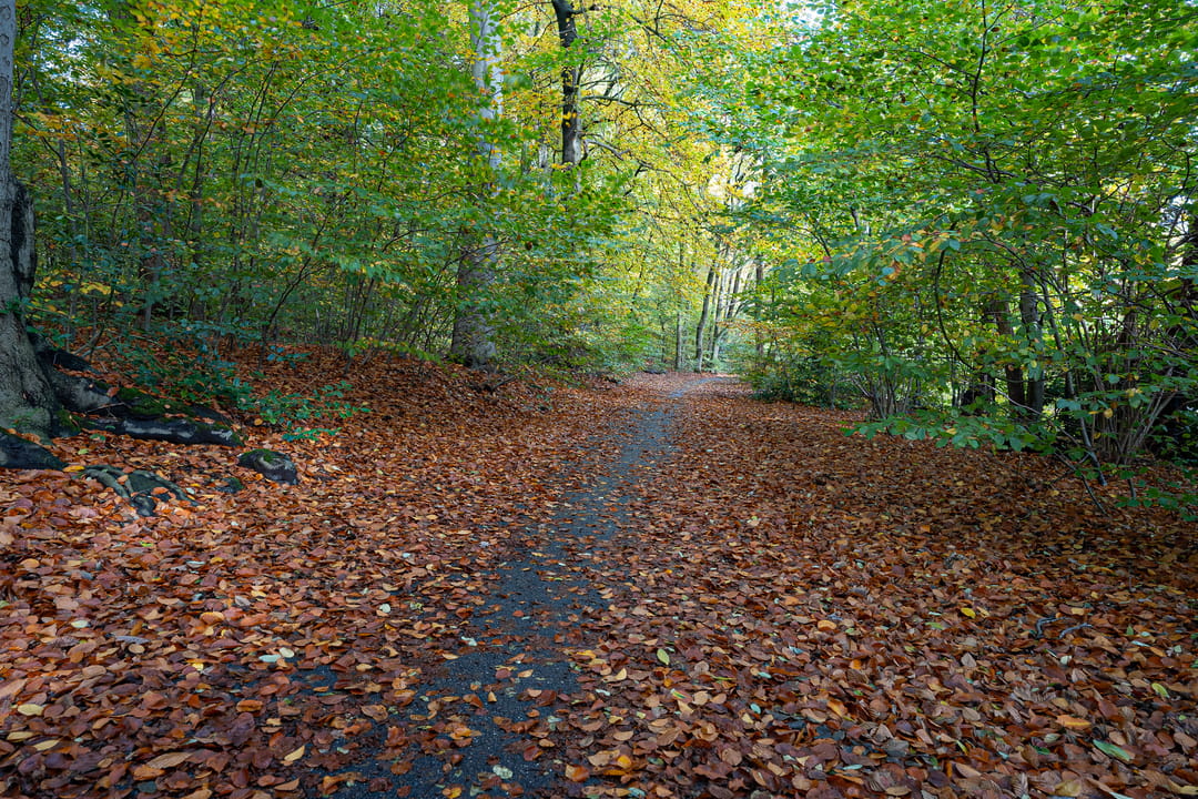 Foto 32 van Monnikensteeg 306