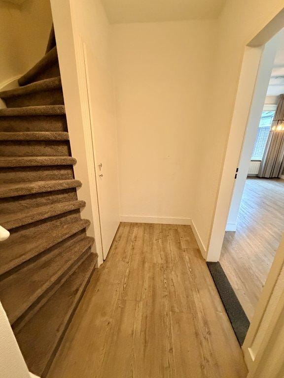 Photo 3 of Salamanderstraat 8