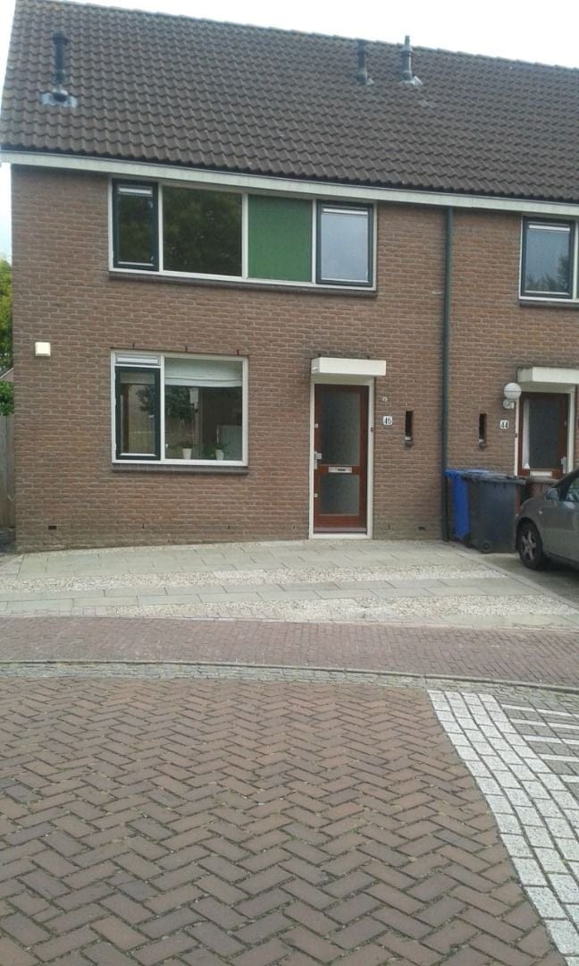 Foto 1 van Fluitekruid 46