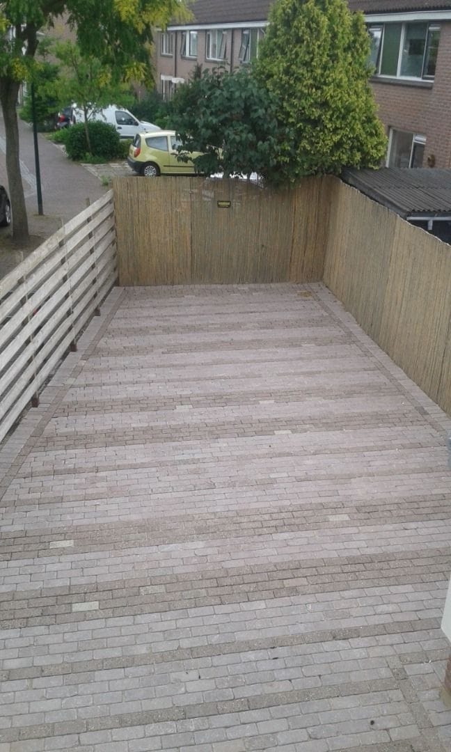 Foto 5 van Fluitekruid 46