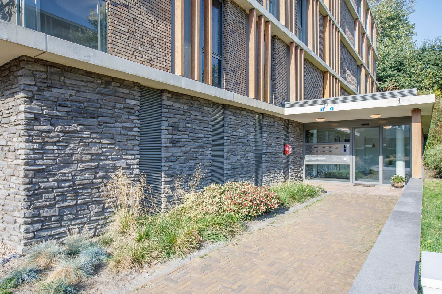 Foto 4 van Duinvallei 66