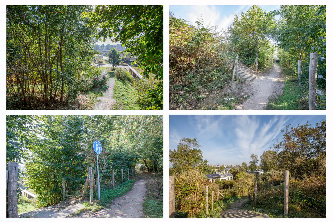 Foto 47 van Duinvallei 66